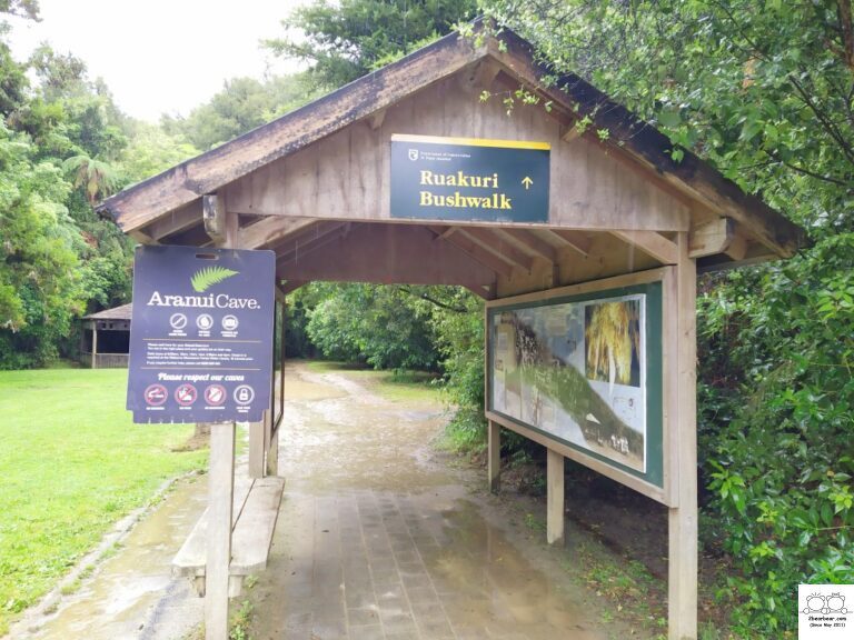 Ruakuri Bush Walk Review: An Adventure Through Waitomo Cave System Awaits!