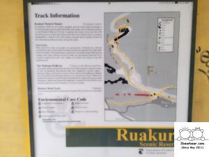 Ruakuri Bush Walk Review: An Adventure Through Waitomo Cave System Awaits!