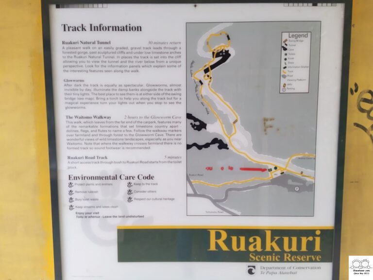 Ruakuri Bush Walk Review: An Adventure Through Waitomo Cave System Awaits!