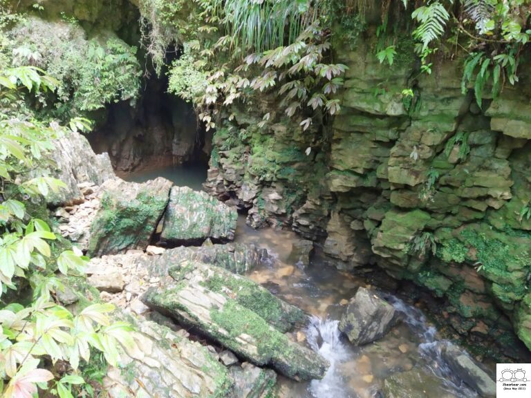 Ruakuri Bush Walk Review: An Adventure Through Waitomo Cave System Awaits!