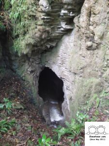 Ruakuri Bush Walk Review: An Adventure Through Waitomo Cave System Awaits!