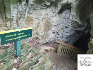 Ruakuri Bush Walk Review: An Adventure Through Waitomo Cave System Awaits!