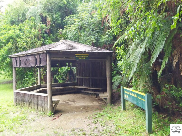 Ruakuri Bush Walk Review: An Adventure Through Waitomo Cave System Awaits!