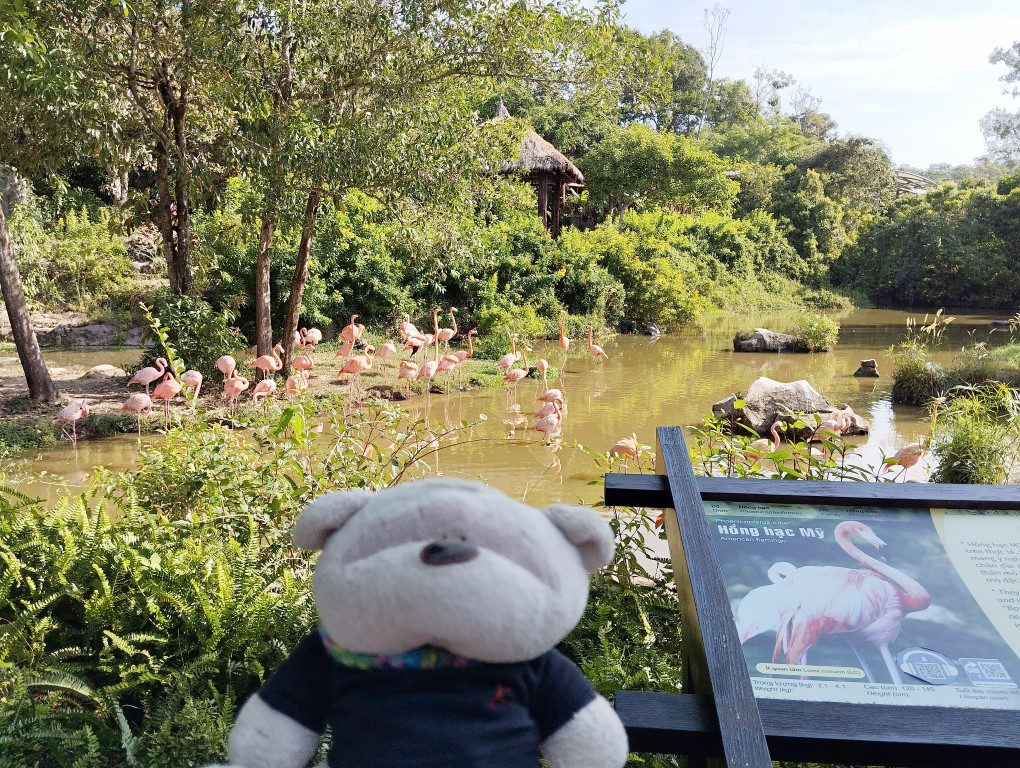 Vinpearl Safari Phu Quoc Review - Pink Flamingoes at the Entrance of the Zoo