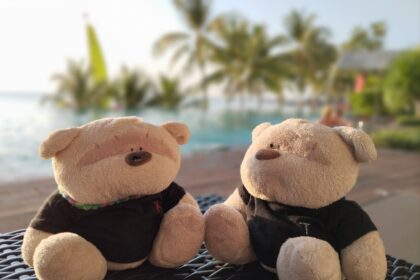 2bearbear at Swimming Pool of Seashells Phu Quoc Hotel & Spa