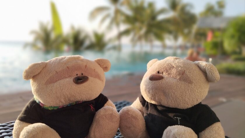 2bearbear at Swimming Pool of Seashells Phu Quoc Hotel & Spa