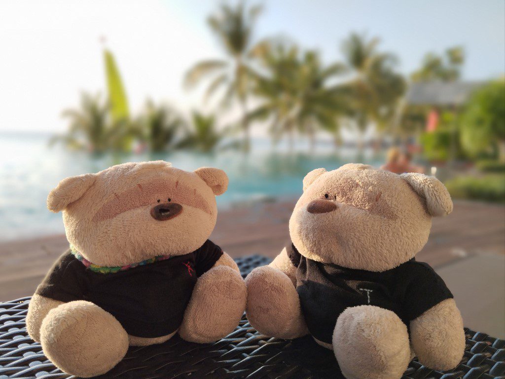 2bearbear at Swimming Pool of Seashells Phu Quoc Hotel & Spa