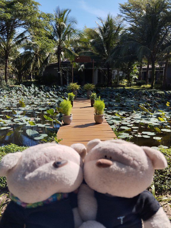 Greenery within Novotel Phu Quoc Resort