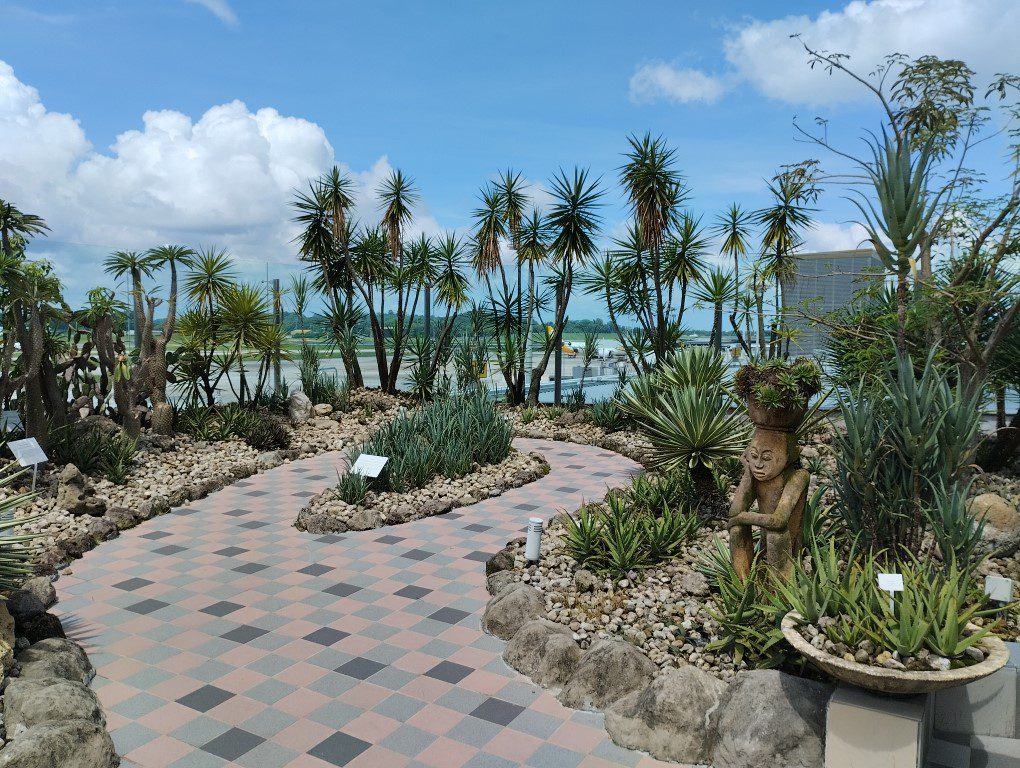 Cactus Garden at Changi Airport T1 Transit Area