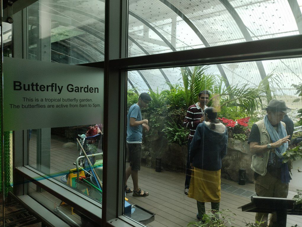 Entrance of Butterfly Garden at Changi Airport T3 Transit Area