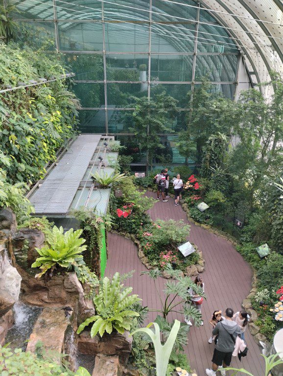 Inside Butterfly Garden at Changi Airport T3 Transit Area