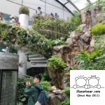 Spiral staircase and mini waterfall Inside Butterfly Garden at Changi Airport T3 Transit Area