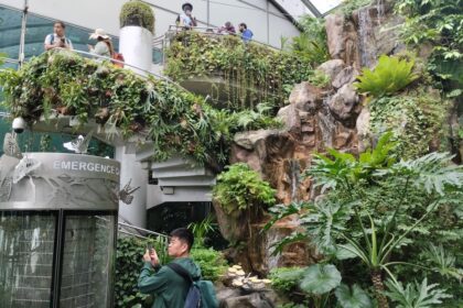 Spiral staircase and mini waterfall Inside Butterfly Garden at Changi Airport T3 Transit Area