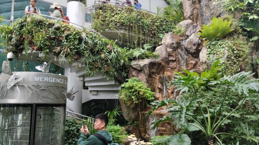 Spiral staircase and mini waterfall Inside Butterfly Garden at Changi Airport T3 Transit Area