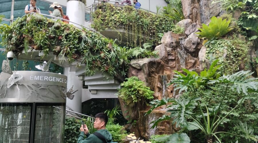 Spiral staircase and mini waterfall Inside Butterfly Garden at Changi Airport T3 Transit Area