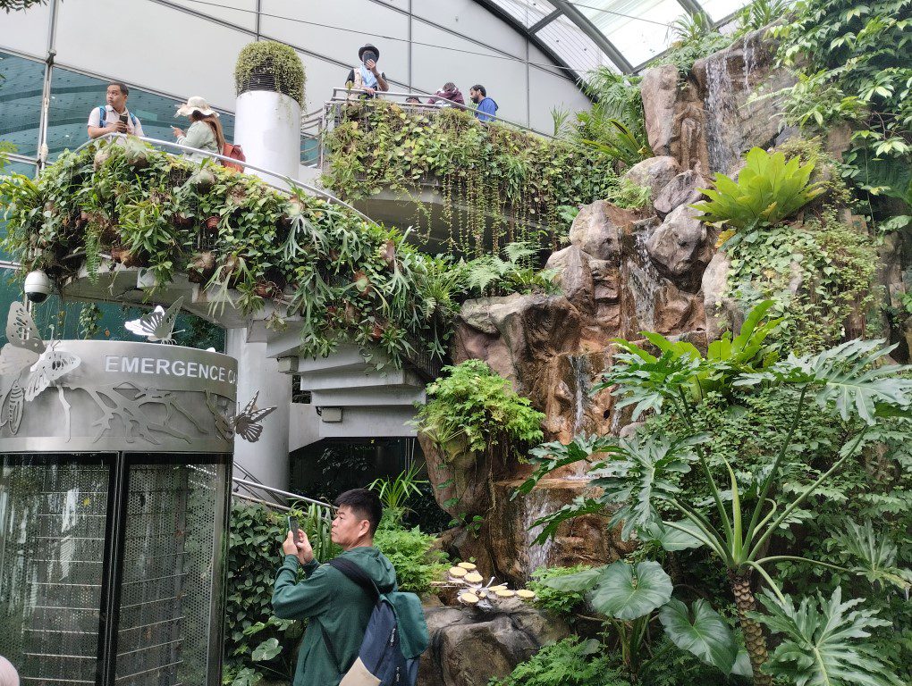 Spiral staircase and mini waterfall Inside Butterfly Garden at Changi Airport T3 Transit Area