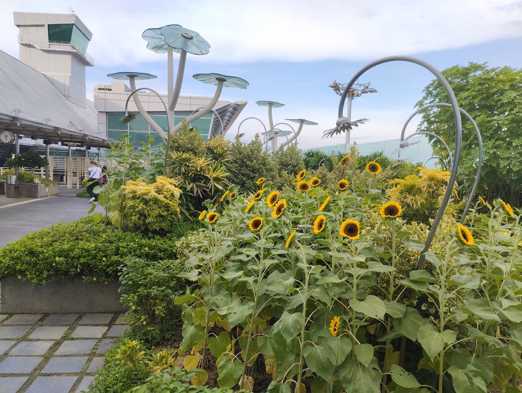 Sunflower Garden Transit Area Changi Airport T2