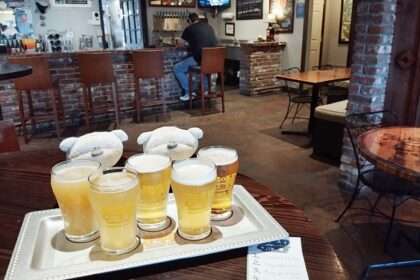 Bold City Brewery Jacksonville Florida Review - Beer Flights at $8