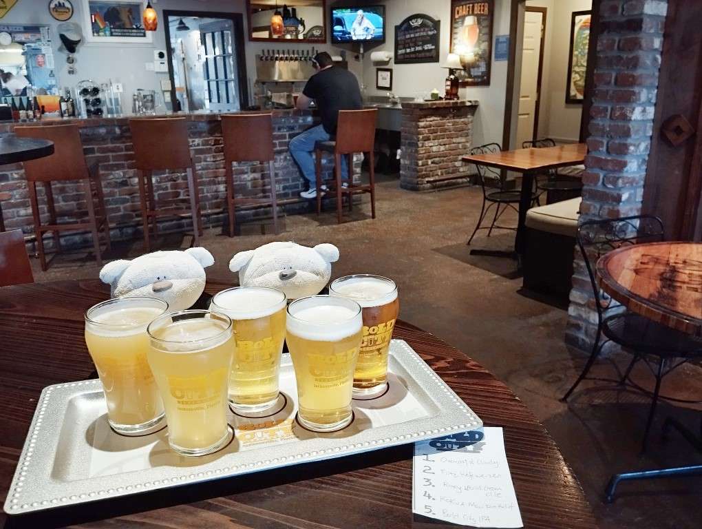 Bold City Brewery Jacksonville Florida Review - Beer Flights at $8