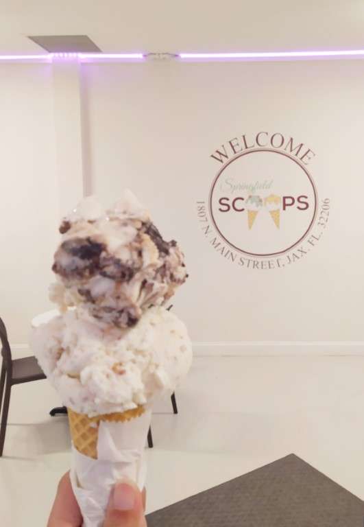 Springfield Scoops Jacksonville Review - Chocolate and Cheese / Grape and Nut Ice Cream Double Scoop