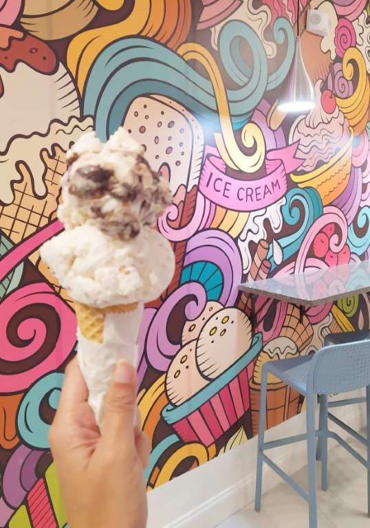 Chocolate and Cheese / Grape and Nut Ice Cream Double Scoops at Springfield Scoops Jacksonville Review