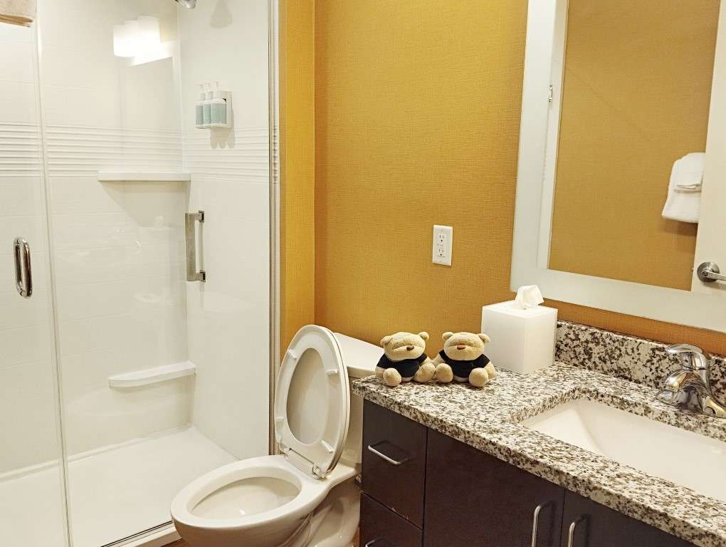 TownePlace Suites by Marriott Charleston West Ashley - Bathroom with Shower Amenities