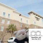 2bearbear at TownePlace Suites by Marriott Charleston West Ashley Review