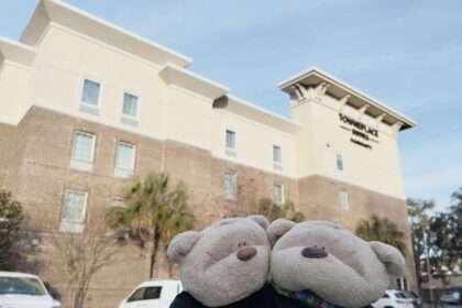 2bearbear at TownePlace Suites by Marriott Charleston West Ashley Review