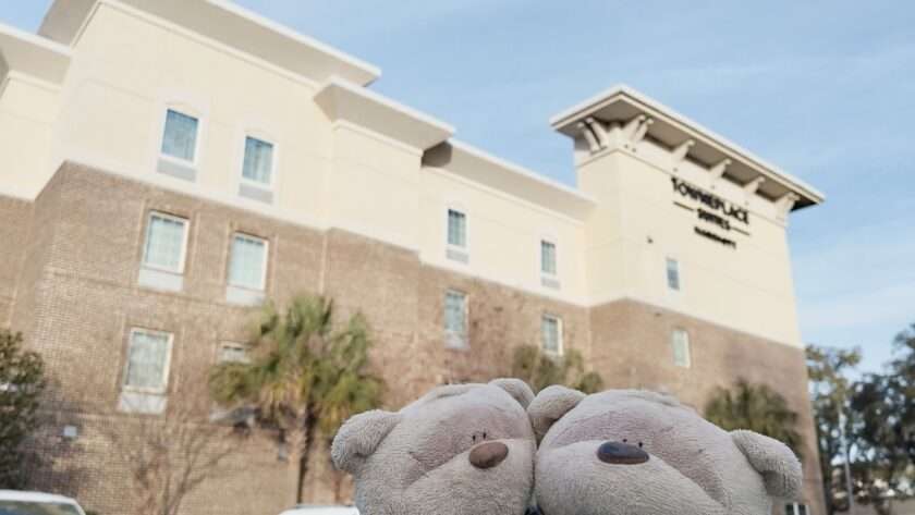 2bearbear at TownePlace Suites by Marriott Charleston West Ashley Review