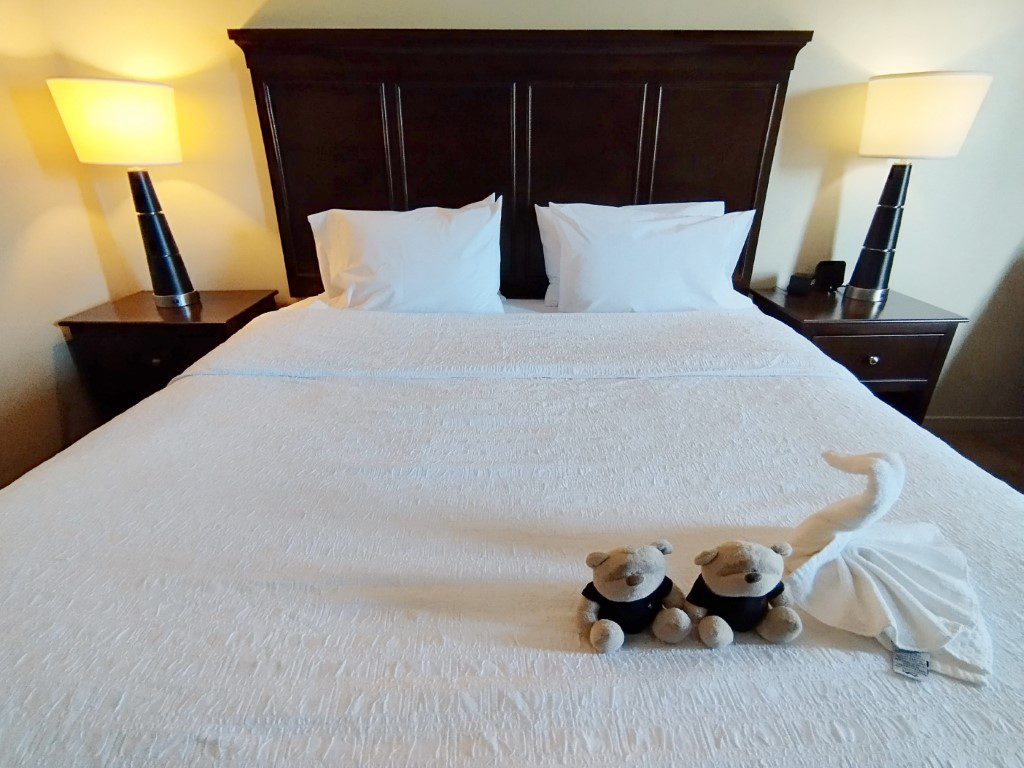 Hampton Inn & Suites Charlotte Arrowood Road Review - King Sized Bed