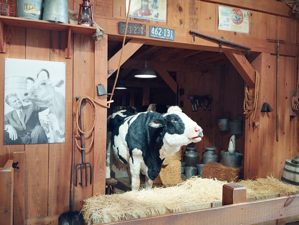 Bessie the Cow at the Billy Graham Library Charlotte