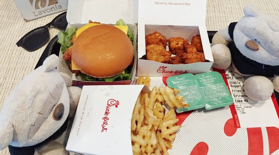 Chick-fil-A Deluxe ($9.25), 8 pc Nuggets ($4.85), Chocolate Milk Shake ($4.45) at Chick-fil-A