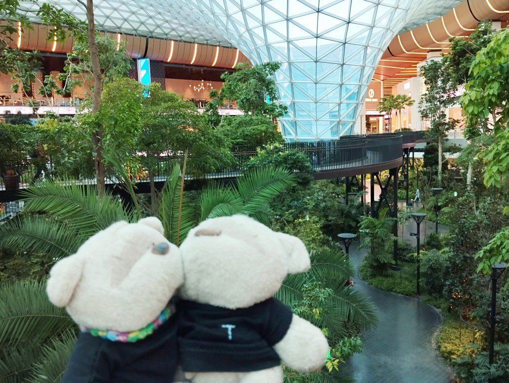 Doha International Airport Water Feature and Rainforest