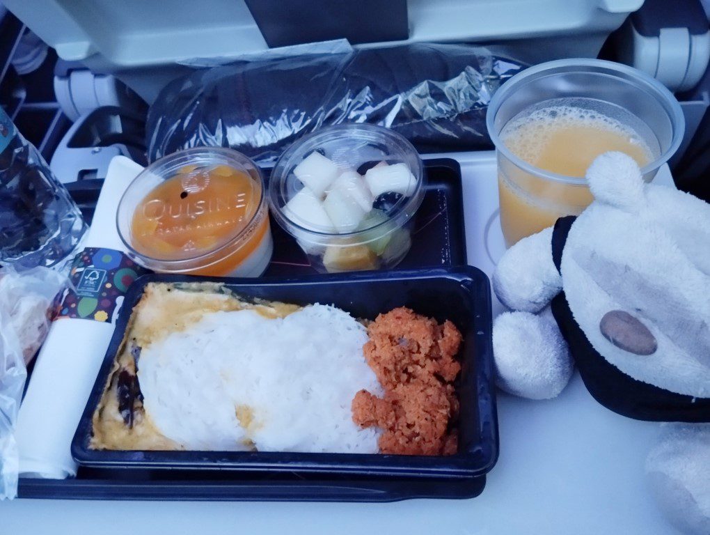 Qatar Airways flight from Doha to Miami - Idli with Pumpkin Curry