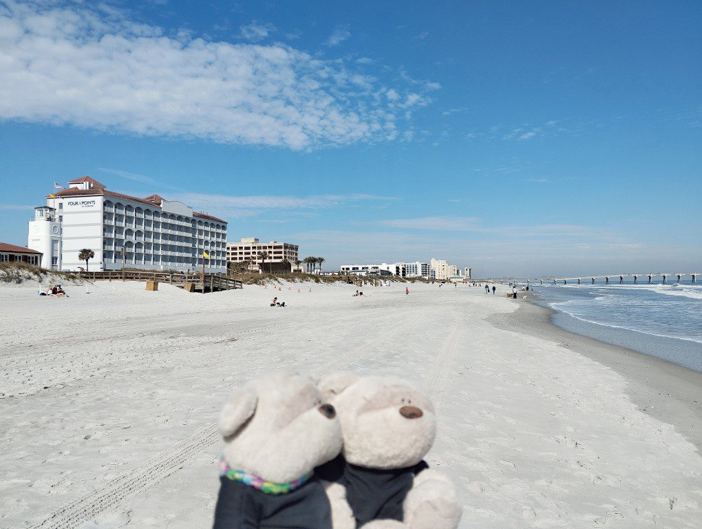 2bearbear at Jacksonville Beach