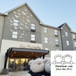 2bearbear at The Darwin Hotel Atlanta