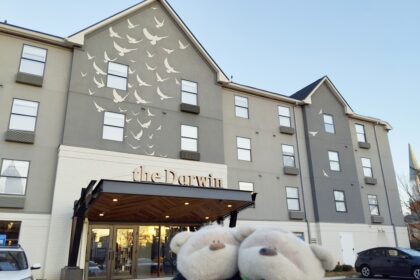 2bearbear at The Darwin Hotel Atlanta