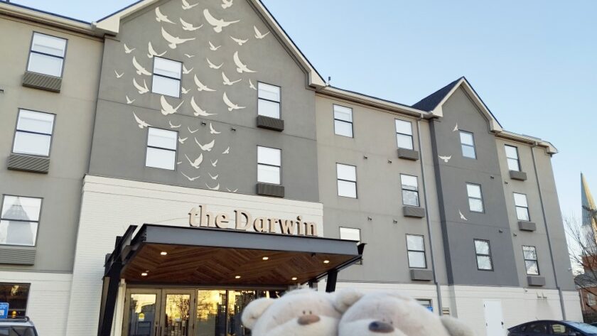 2bearbear at The Darwin Hotel Atlanta