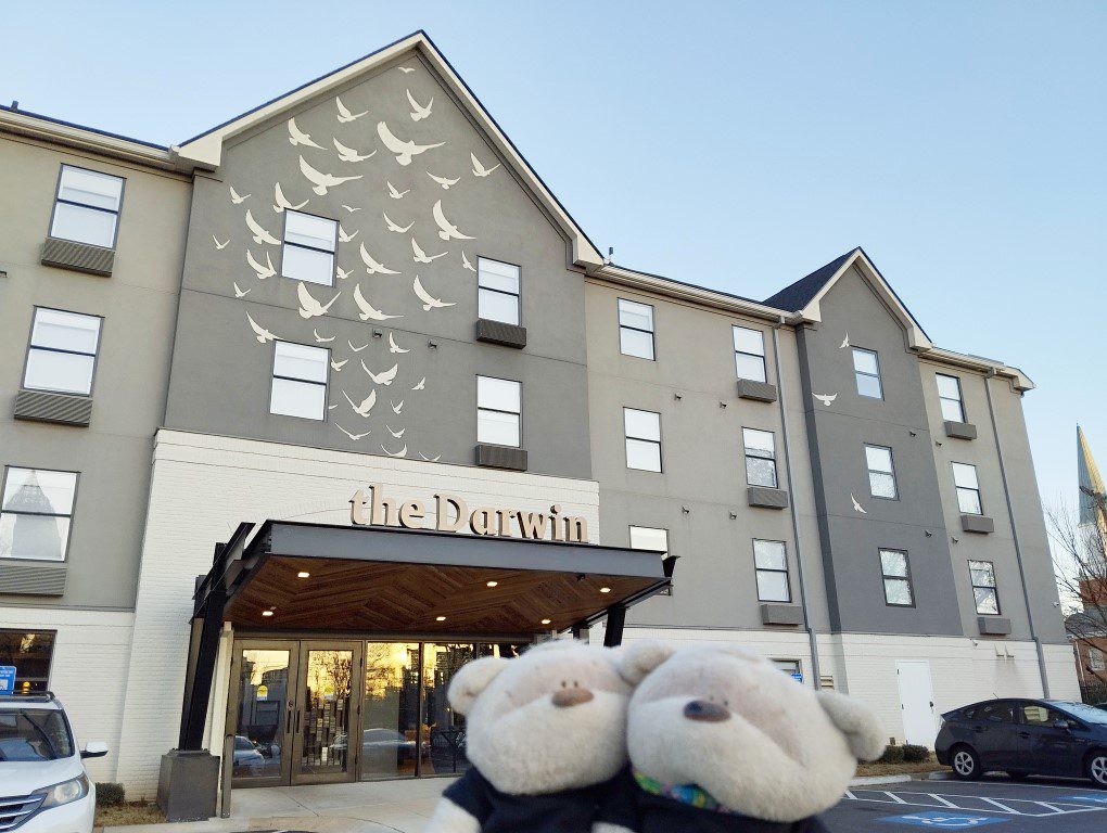 2bearbear at The Darwin Hotel Atlanta