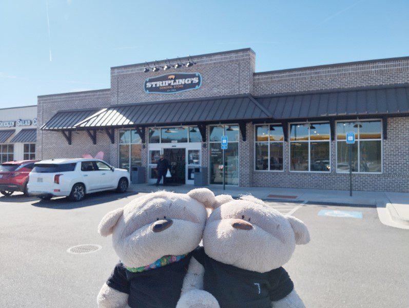 2bearbear at Stripling's General Store Tifton GA on Highway 41