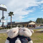 2bearbear at Driftwood Inn Lake City Florida