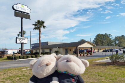 2bearbear at Driftwood Inn Lake City Florida