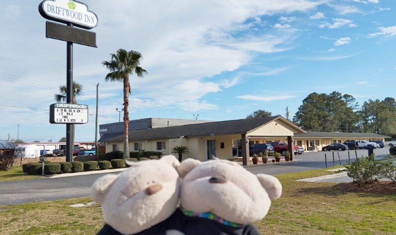 2bearbear at Driftwood Inn Lake City Florida