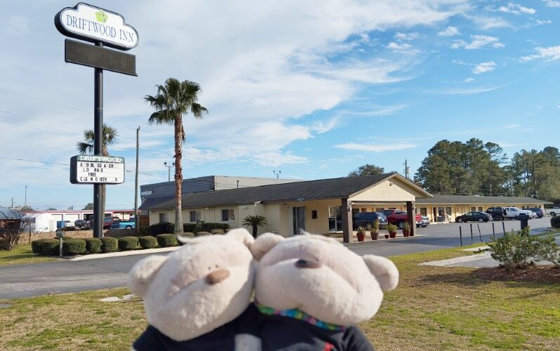 2bearbear at Driftwood Inn Lake City Florida