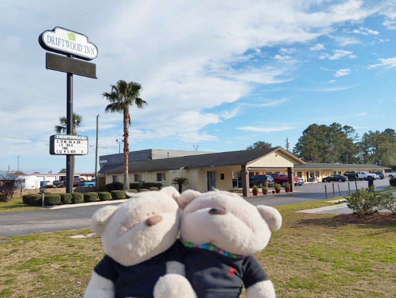 2bearbear at Driftwood Inn Lake City Florida