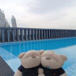 Hotel Faber Park Singapore Handwritten Collection - Rooftop Swimming Pool Level 6