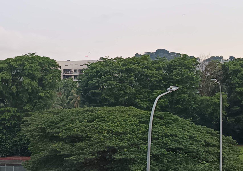 View of greenery from Hotel Faber Park Singapore Handwritten Collection