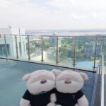 2bearbear at Holiday Inn Johor Bahru City Centre Roof Top Swimming Pool