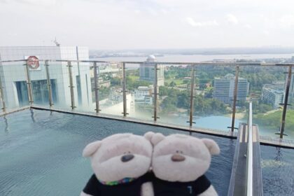 2bearbear at Holiday Inn Johor Bahru City Centre Roof Top Swimming Pool