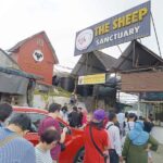 Entrance of the Sheep Sanctuary Cameron Highland